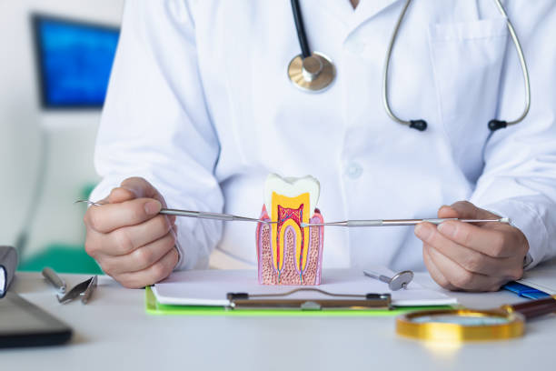 Best Urgent Care for Lost Fillings or Crowns in Ome, GA